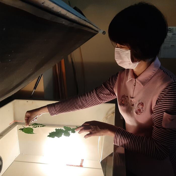 11/30 第二次線下會議